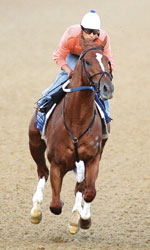 Curlin