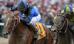 Curlin