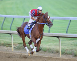 Curlin