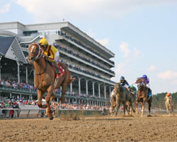 Curlin