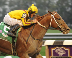 Curlin