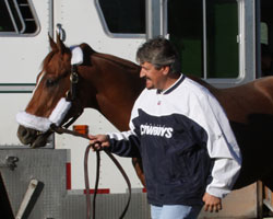 Curlin