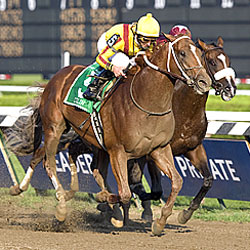 Curlin