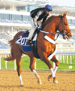 Curlin