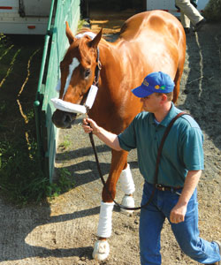 Curlin