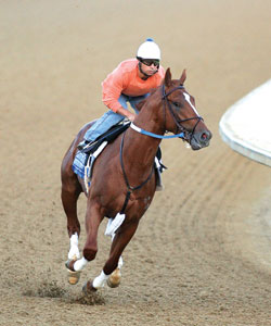 Curlin