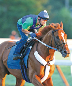Curlin