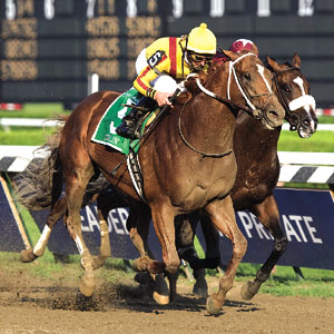 Curlin