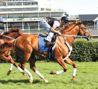 Curlin