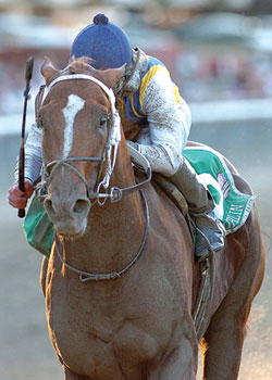 Curlin