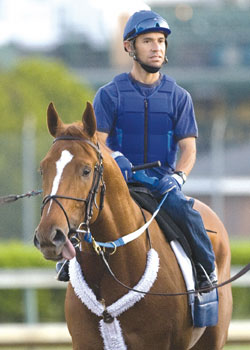 Curlin
