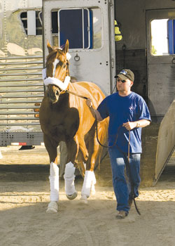Curlin