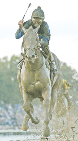 Curlin