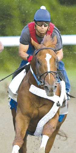 Curlin