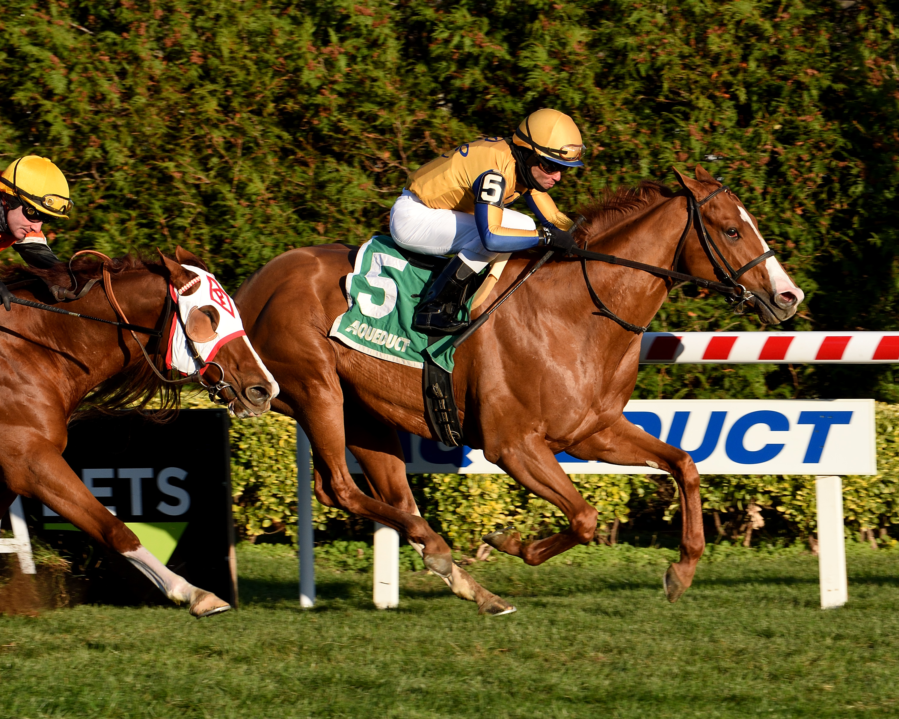 Curlin-s Honor wins the 2019 Artie Schiller