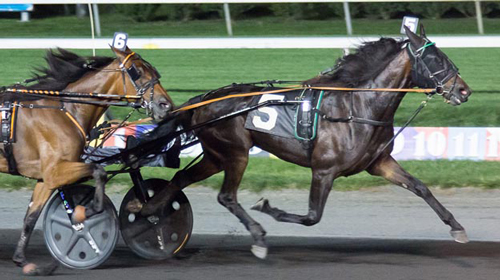Dab Hanover 9/15/17