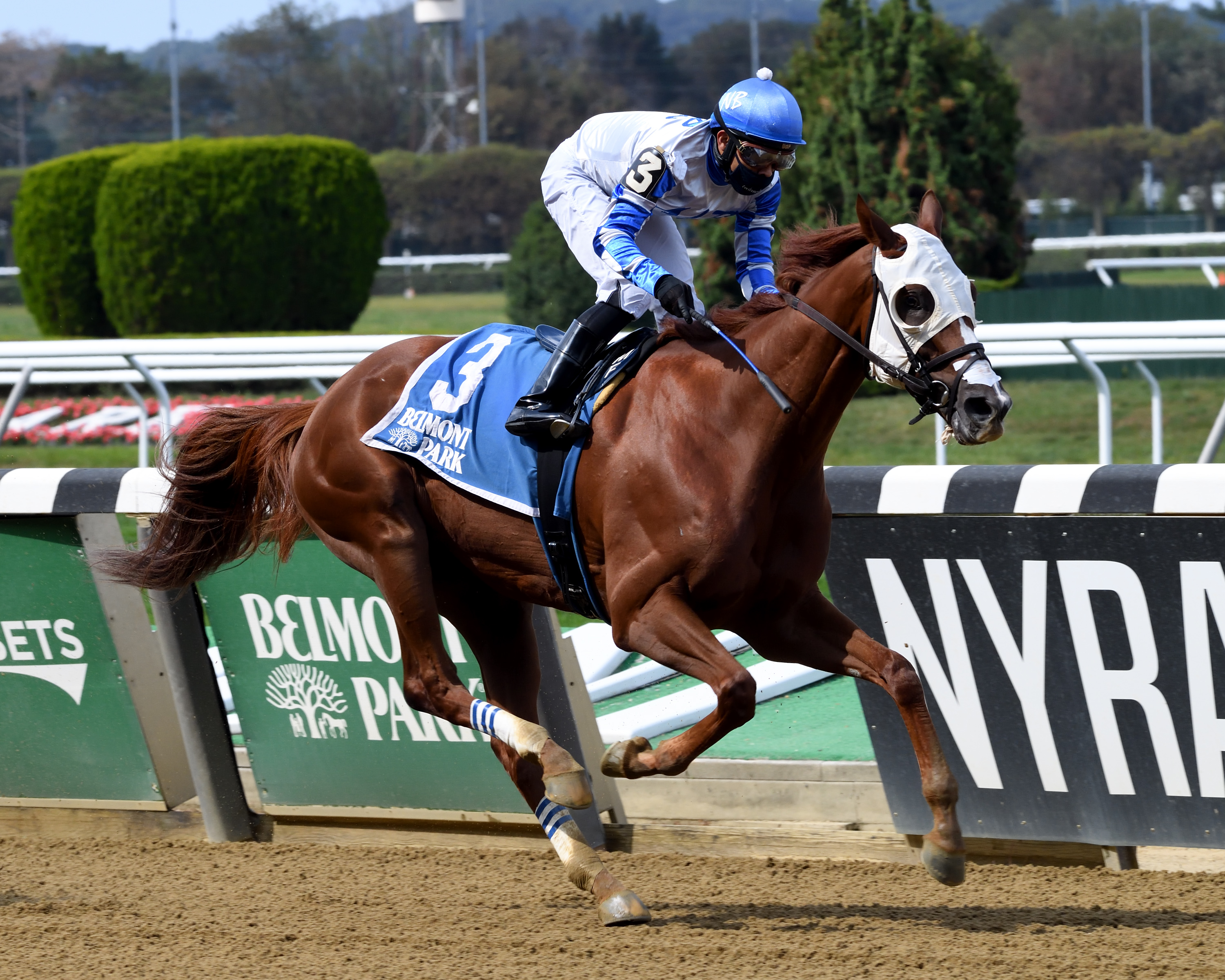 Danny California / Miner's Mark Stakes