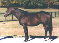 Danzig