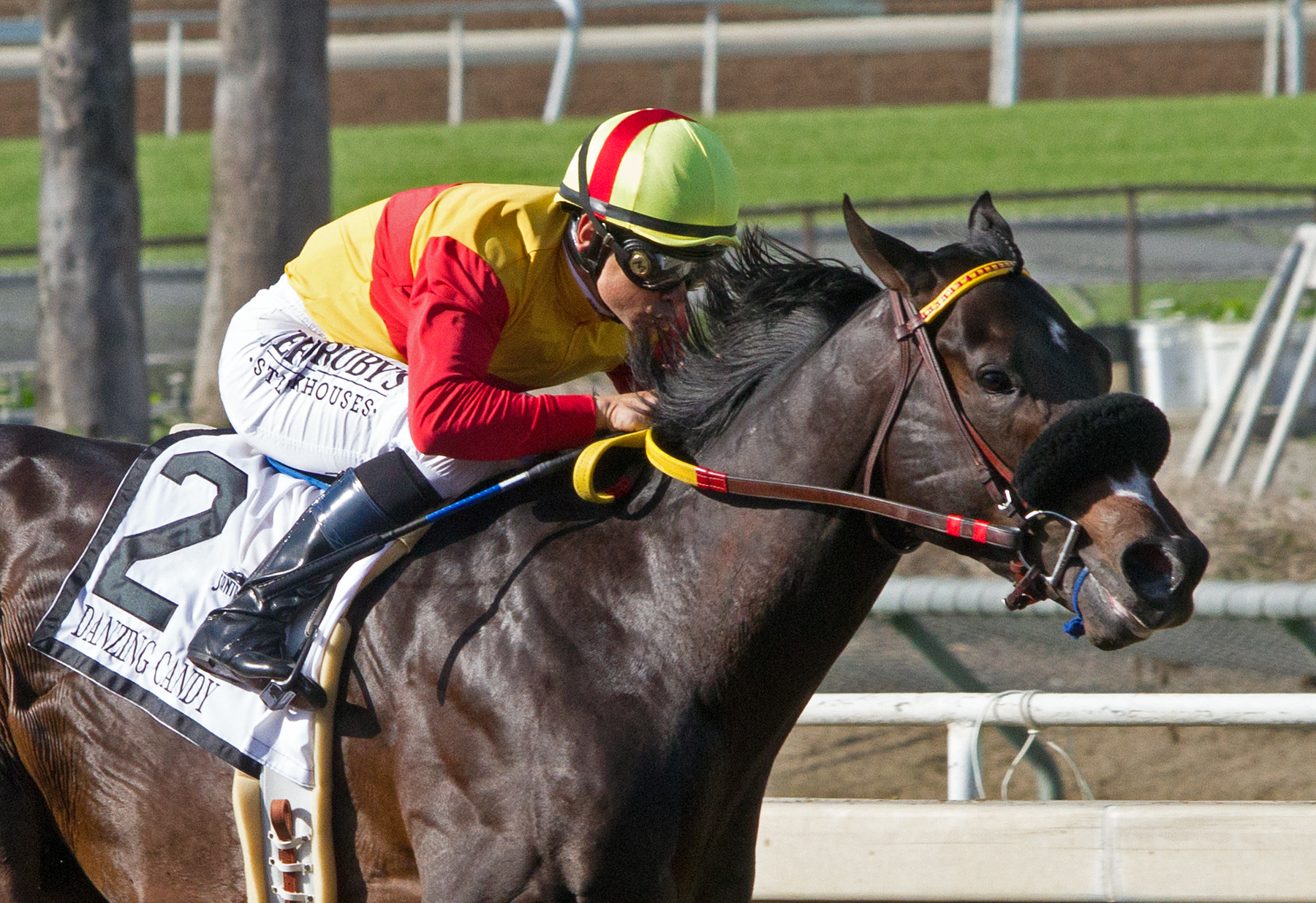 Road to the Derby: San Felipe Stakes