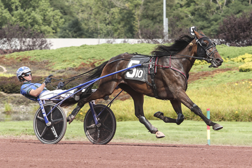 Darlene Hanover 8-21-21