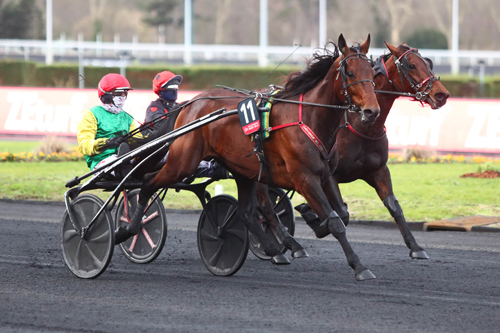 Davidson du Pont 1/17/21