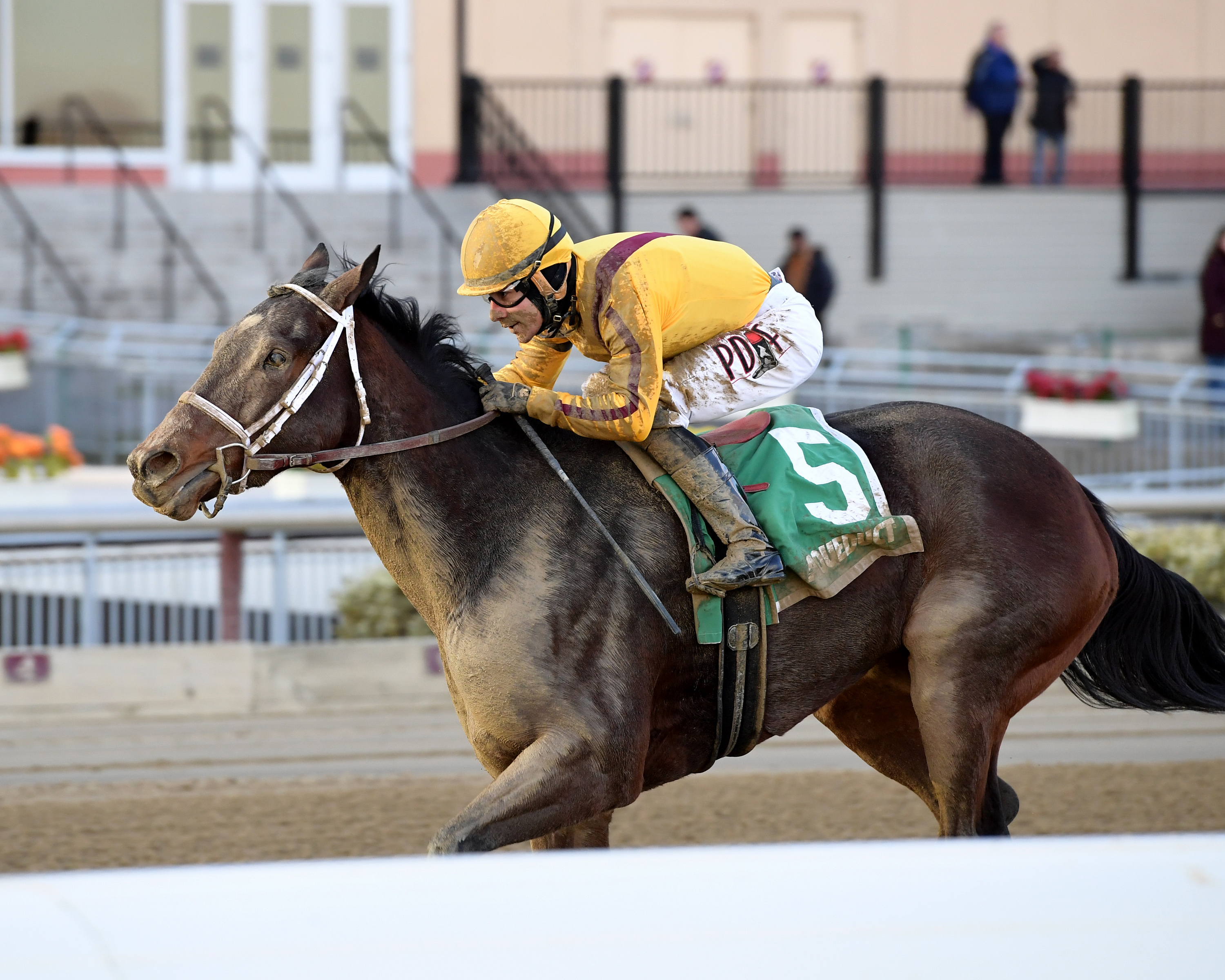 Dawn the Destroyer wins the 2019 Interborough