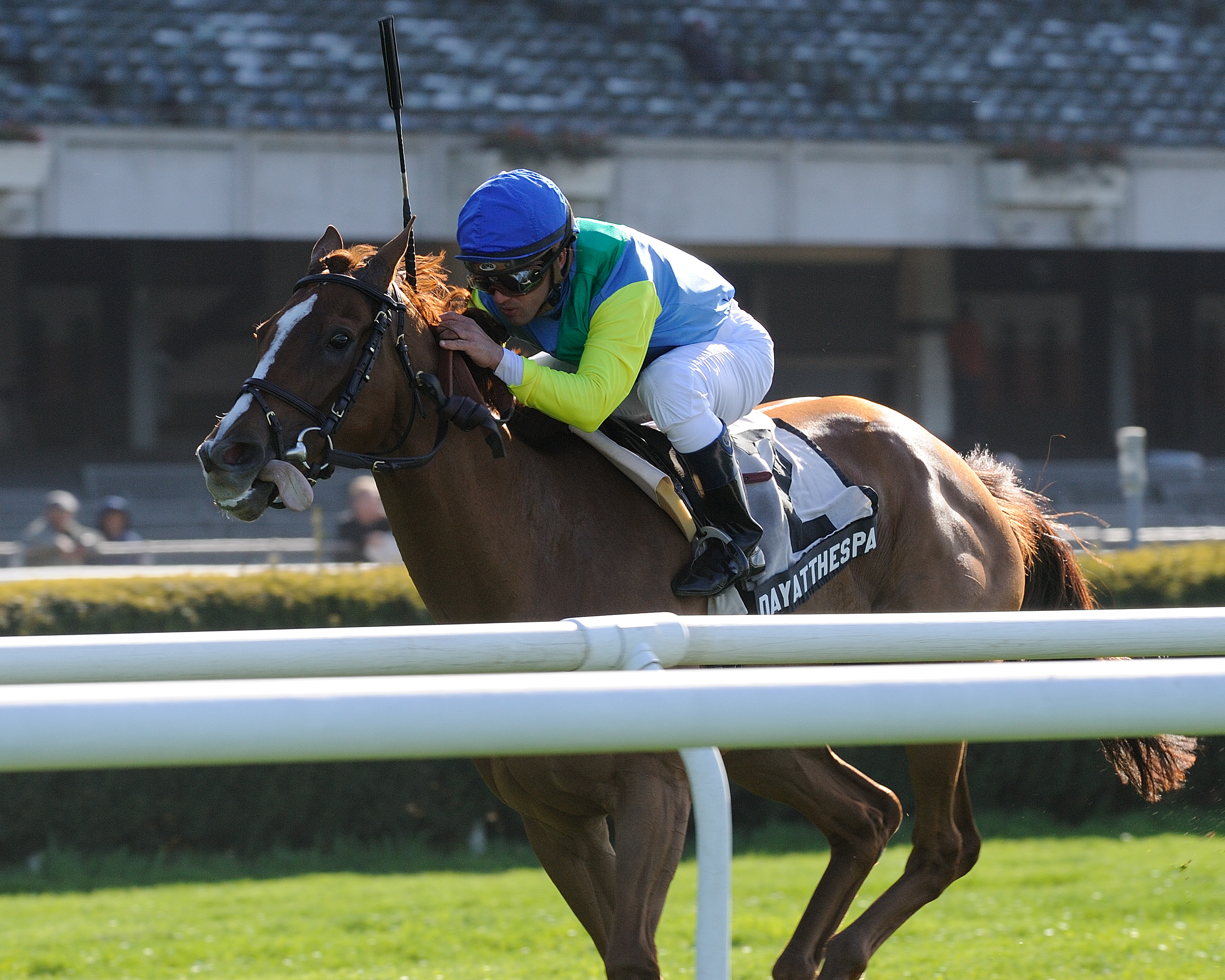 Dayatthespa 5-5-2013