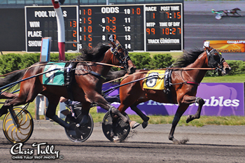 Meadowlands baby race dead-heat 6/15/19