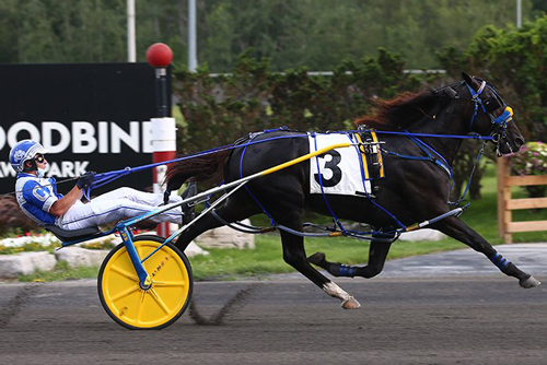 Dean B Hanover 7/27/20