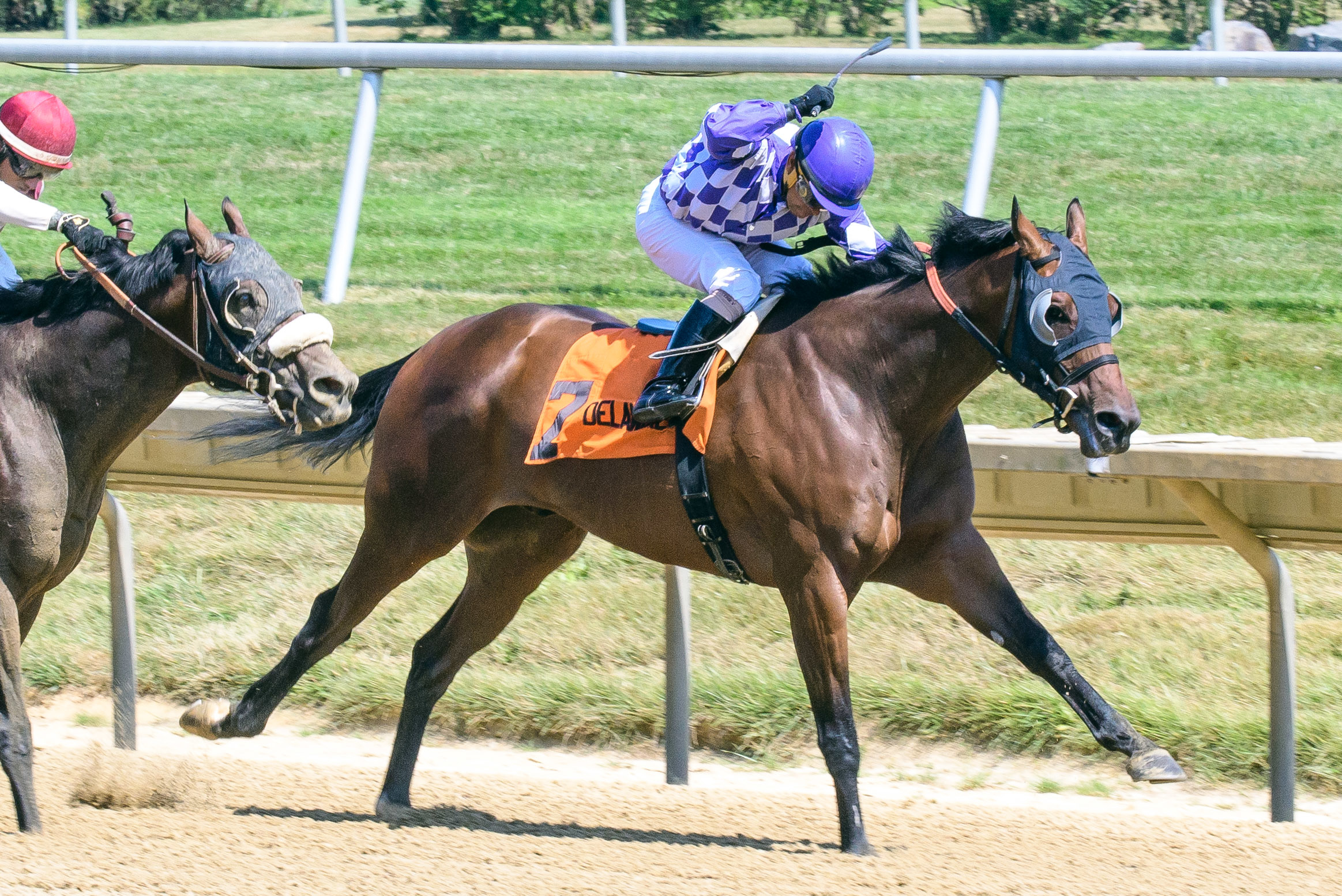 Prince of Hempt wins 2018 Hanford