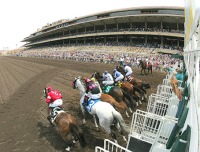 Del Mar