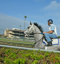 Del Mar