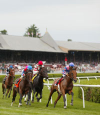Saratoga!