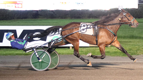 Deltasun A 12-9-21