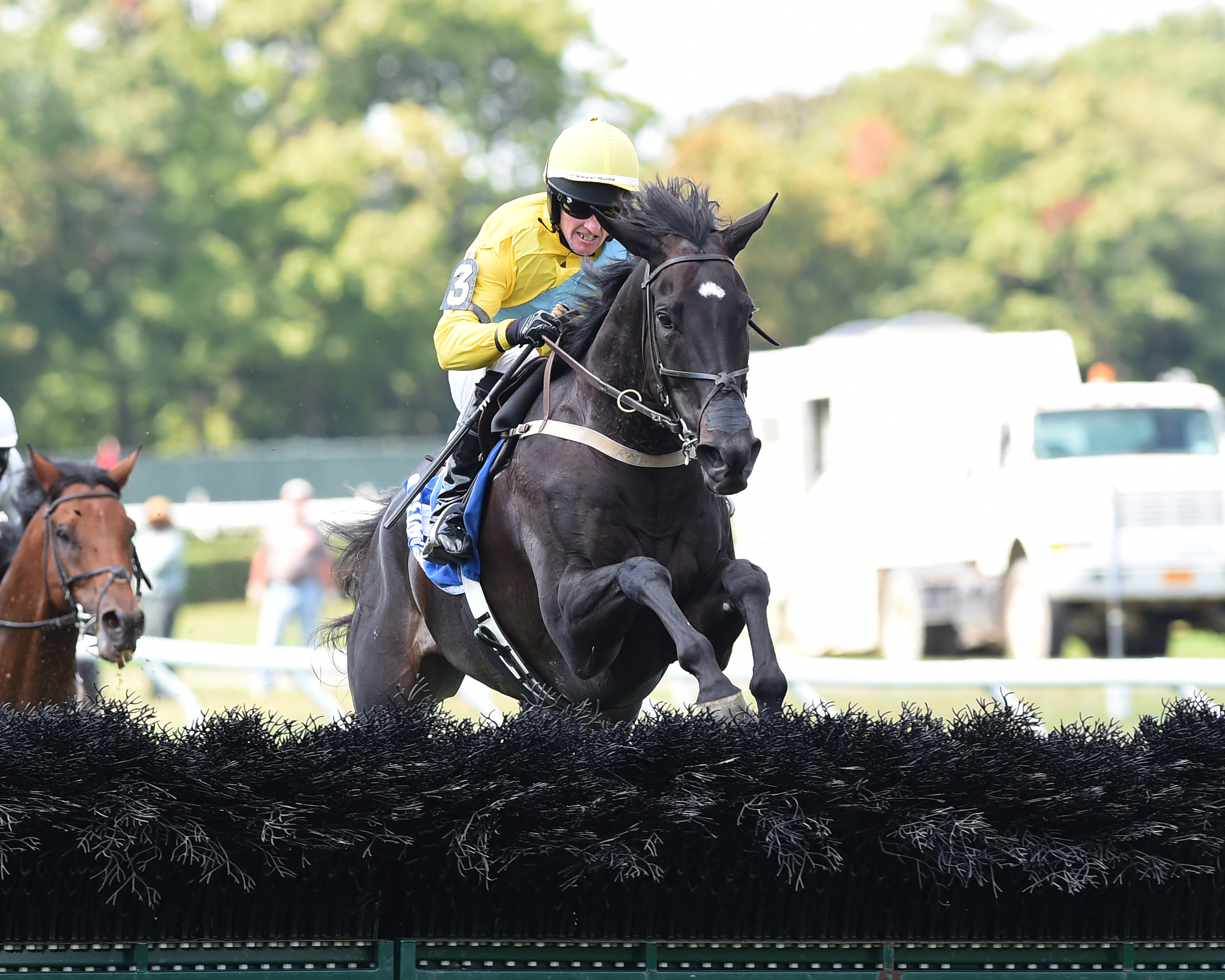 Demonstrative 9-18-2014