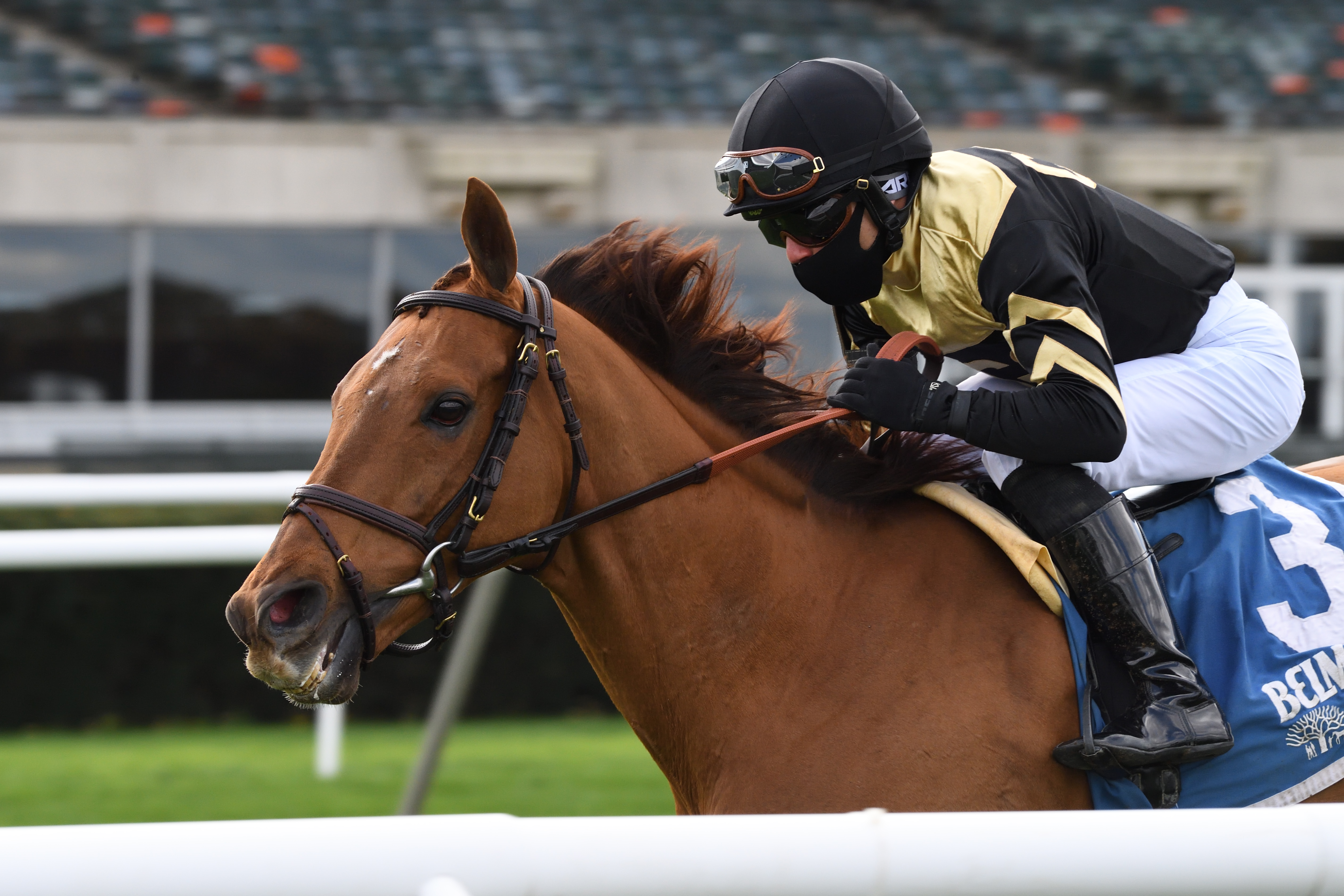 Devamani wins Knickerbocker 10-18-2020