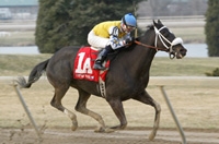 Discreet Hero