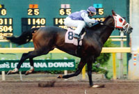 Distinctive Code