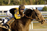 Distinctive Trick