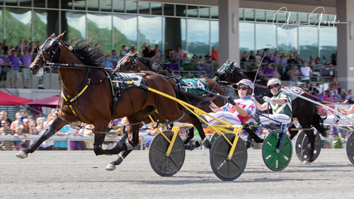 Dorsoduro Hanover 7/28/18