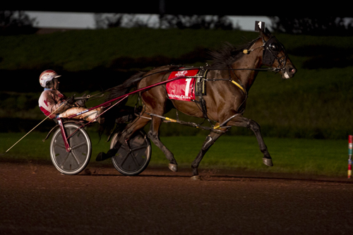 Dorsoduro Hanover 10/27/18