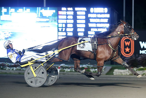 Dorsoduro Hanover 9/5/20