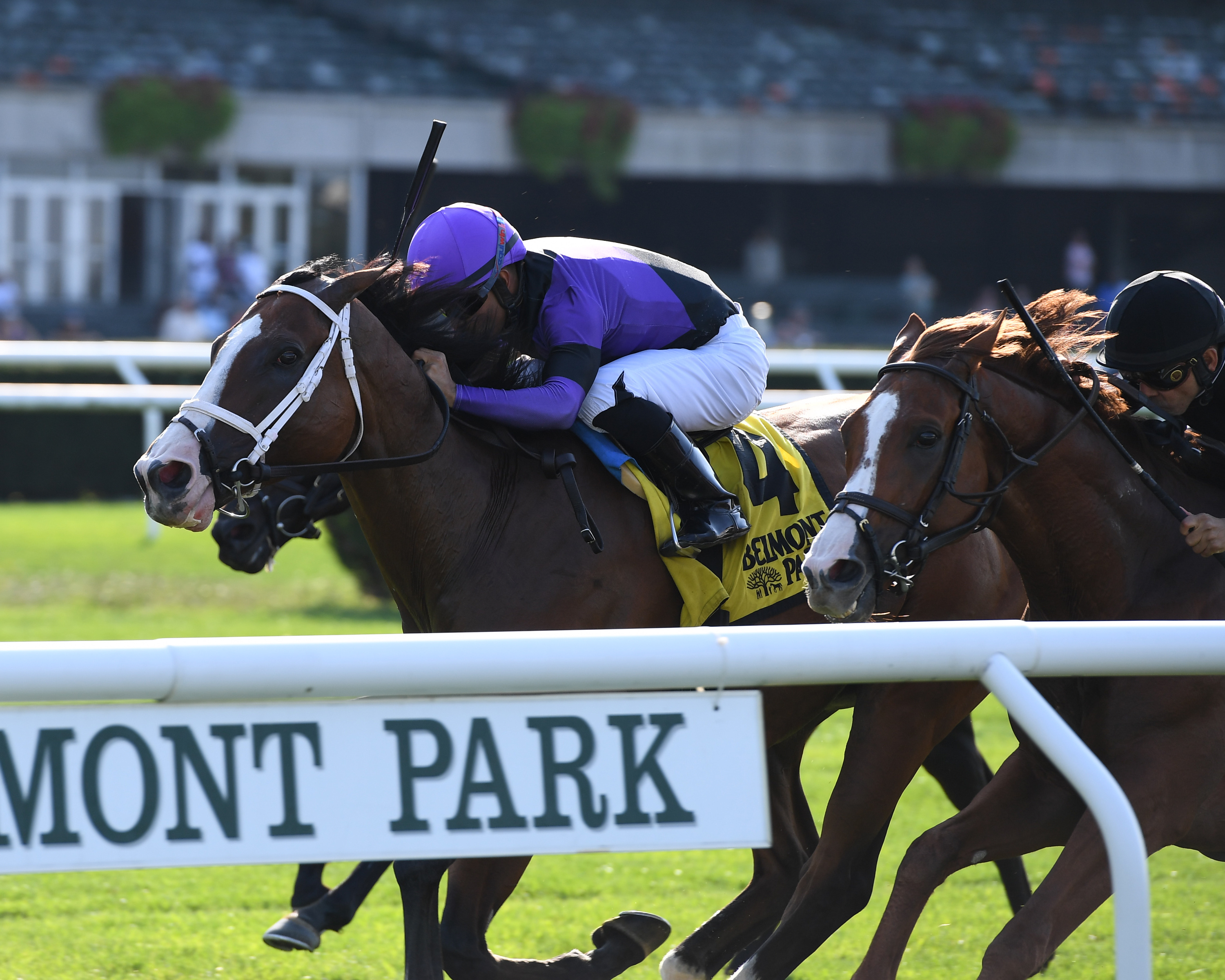 Dot Matrix (center) wins the 2019 Ashley T. Cole
