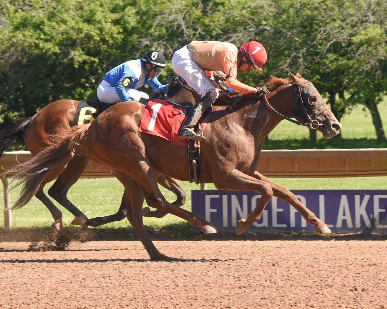 Ben Z Rolls wins 2018 Ontario County Stakes