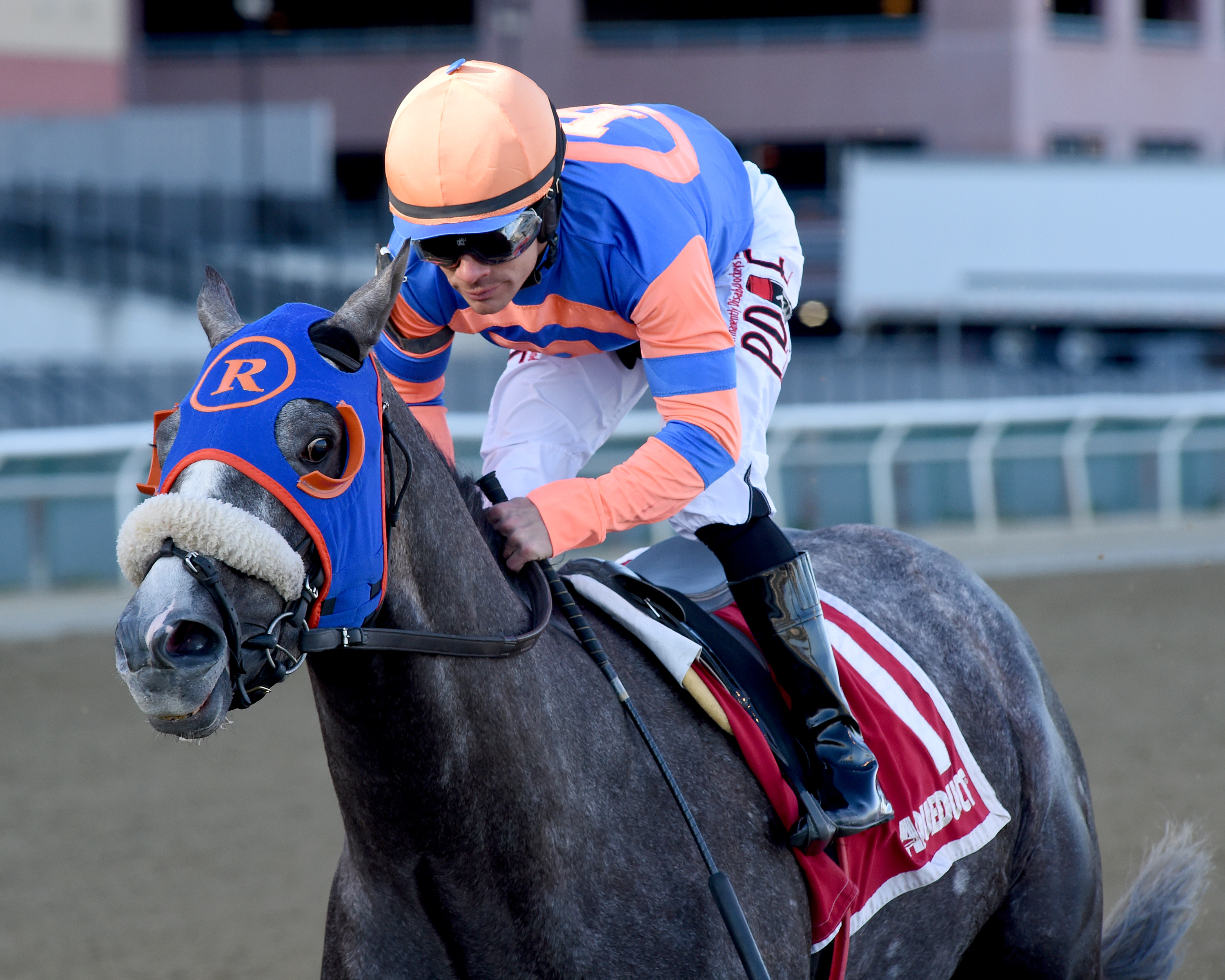 Dream Bigger wins the 2020 Damon Runyon Stakes