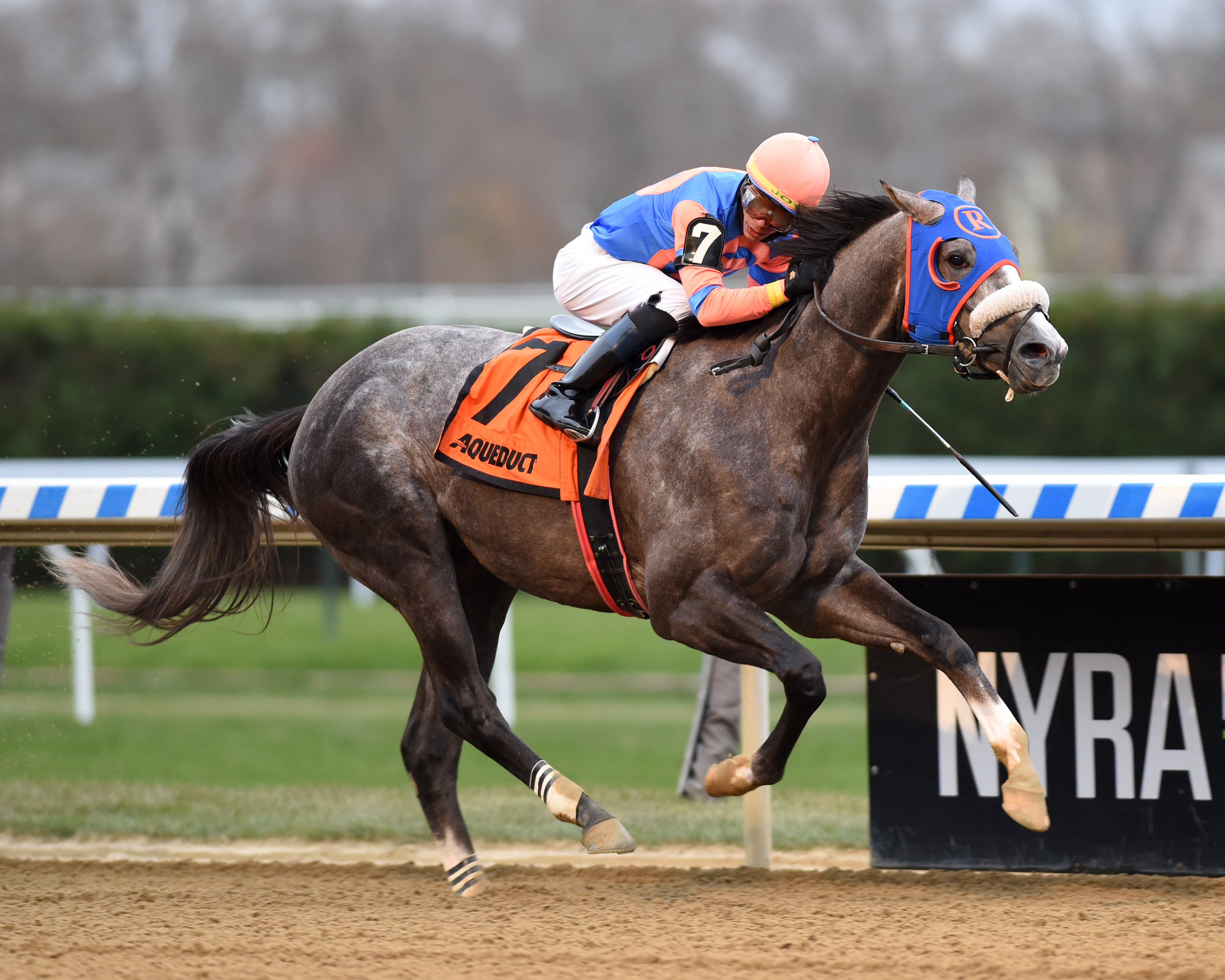 Dream Bigger wins the 2019 Notebook Stakes