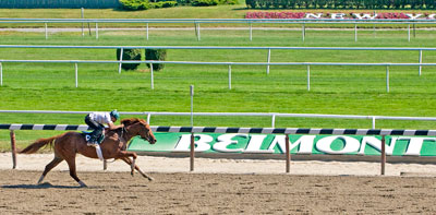 Drosselmeyer