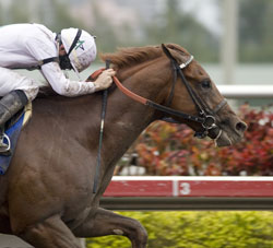 Drosselmeyer