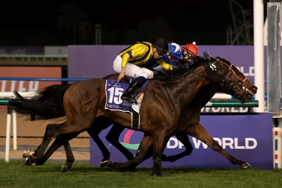 Dubai Turf dead heat, lord north, panthalassa