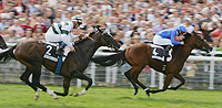 Dubawi